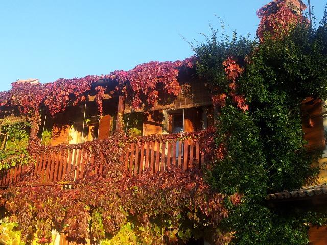 Rozina Vacation House Pliskovica Eksteriør billede